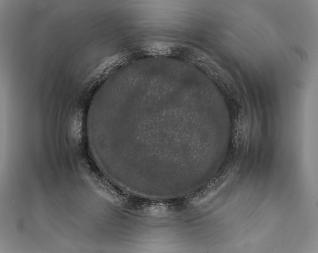 X0000111450600200907271232