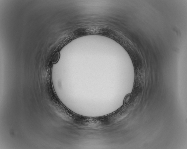 X0000111450601200907271232