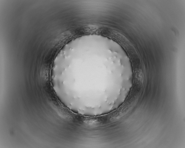 X0000111450602200907271232