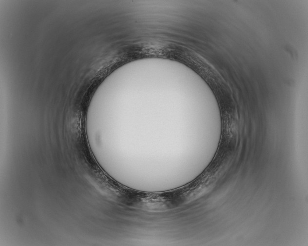 X0000111450603200907271232