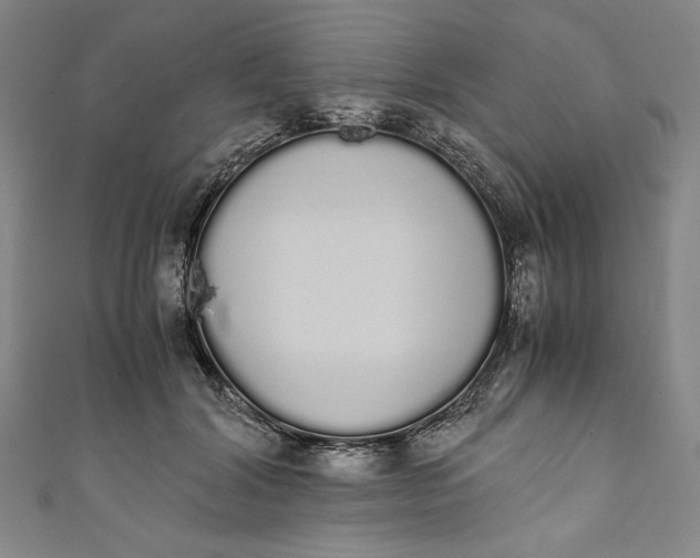 X0000111450604200907271232