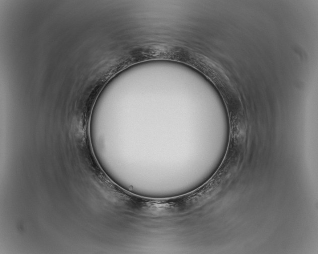 X0000111450607200907271232