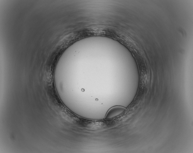X0000111450609200907271232