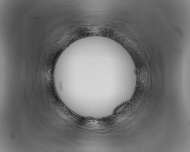 X0000111450611200907271232