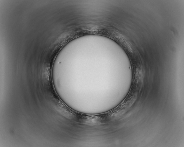 X0000111450612200907271232