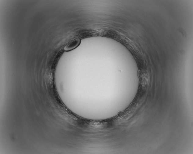X0000111450613200907271232