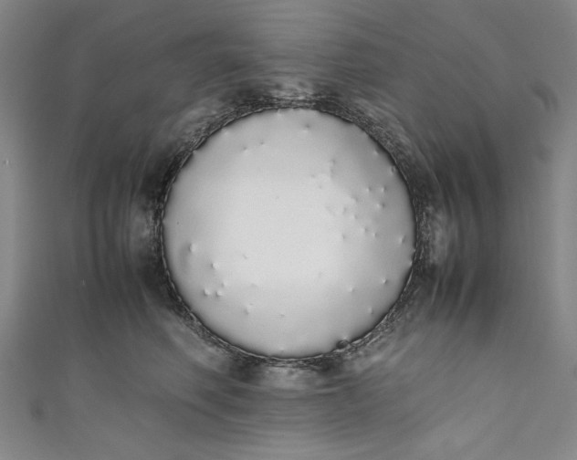 X0000111450614200907271232