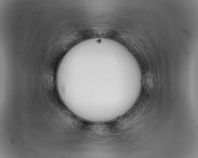 X0000111450615200907271232