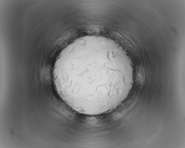 X0000111450616200907271232