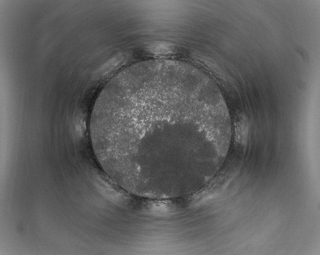 X0000111450618200907271232