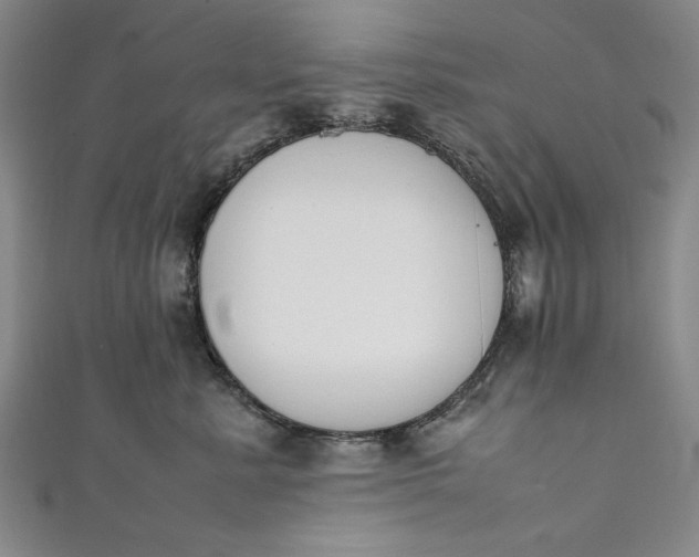 X0000111450619200907271232