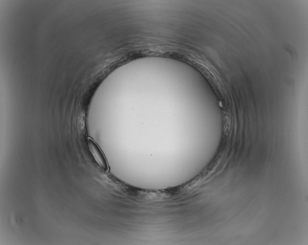 X0000111450621200907271232