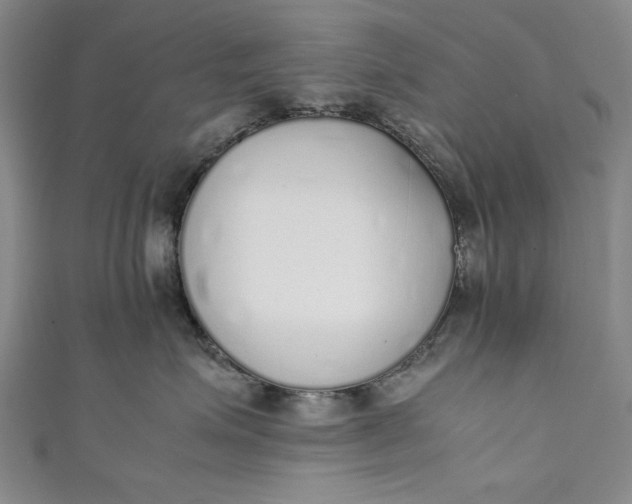 X0000111450623200907271232