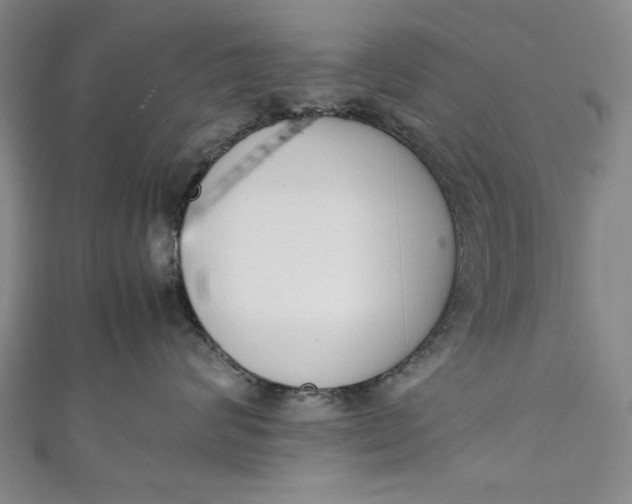 X0000111450624200907271232
