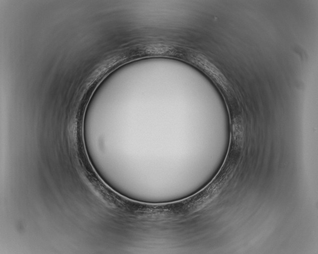 X0000111450626200907271231