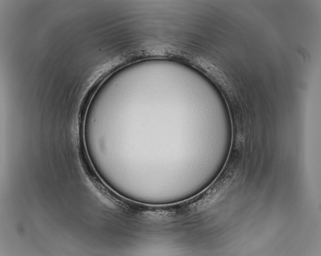 X0000111450630200907271231