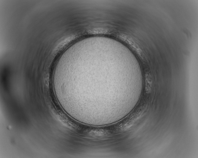 X0000111450631200907271231