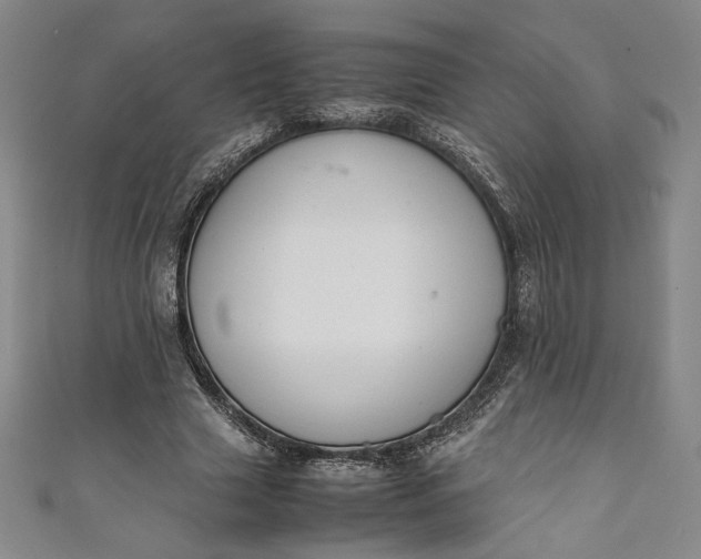 X0000111450633200907271231