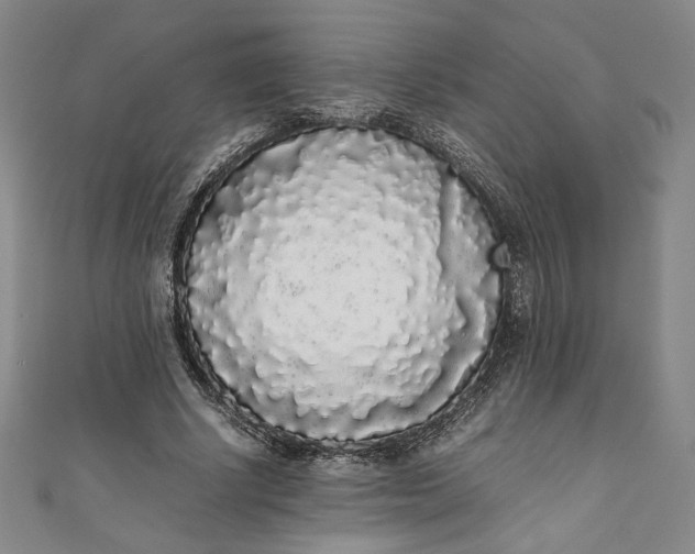 X0000111450634200907271231