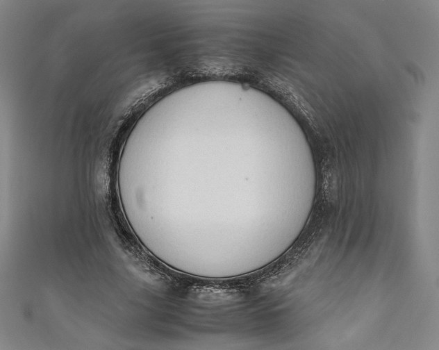 X0000111450635200907271231