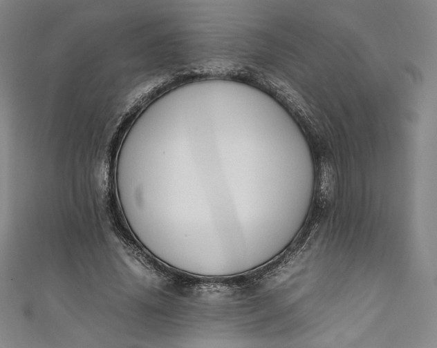X0000111450636200907271231