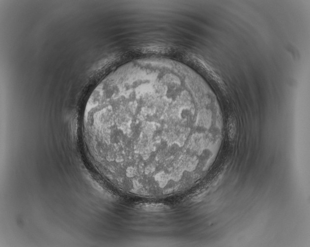 X0000111450637200907271231