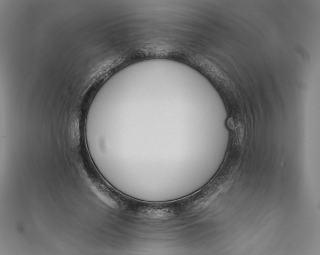 X0000111450638200907271231