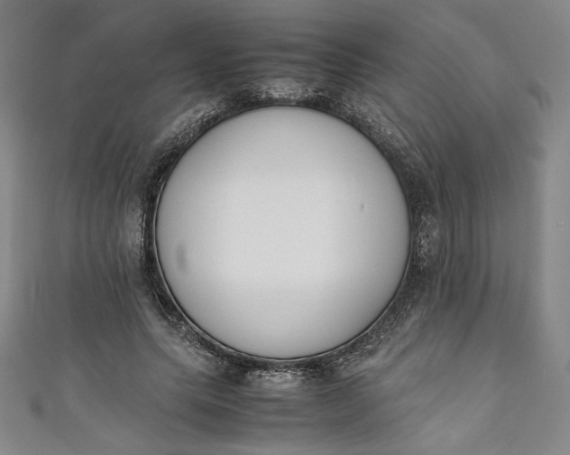 X0000111450639200907271231