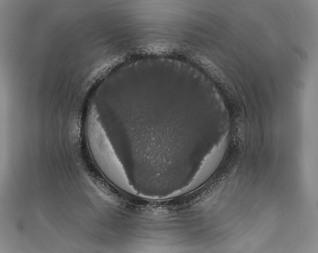 X0000111450640200907271231