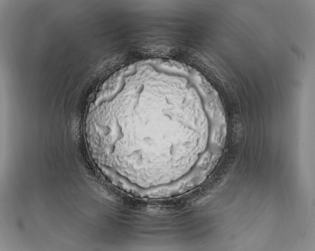 X0000111450641200907271231