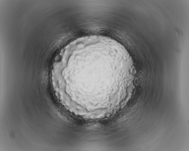 X0000111450642200907271231