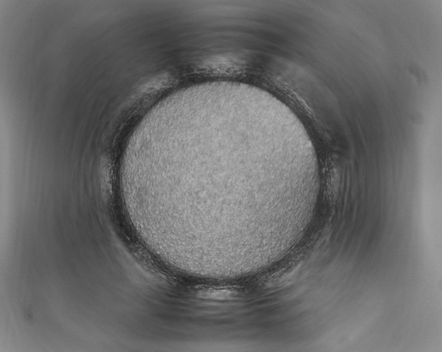 X0000111450643200907271231