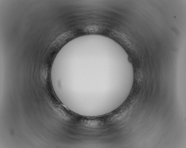 X0000111450645200907271231