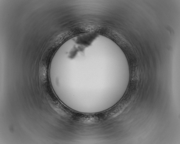 X0000111450646200907271231