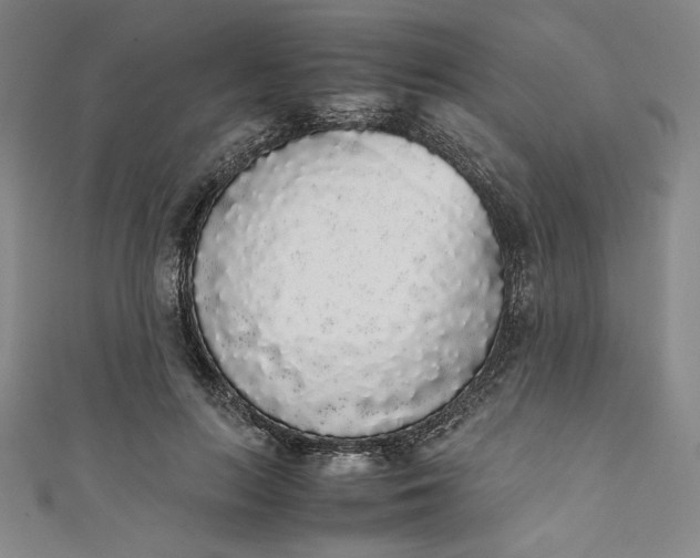 X0000111450647200907271231