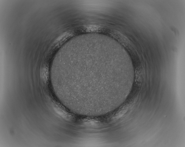 X0000111450648200907271231