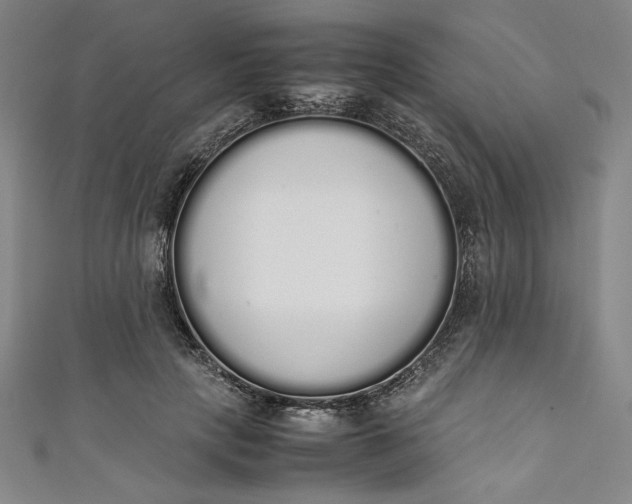 X0000111450649200907271231
