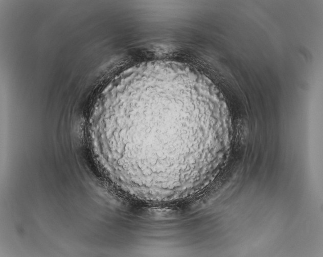 X0000111450650200907271231