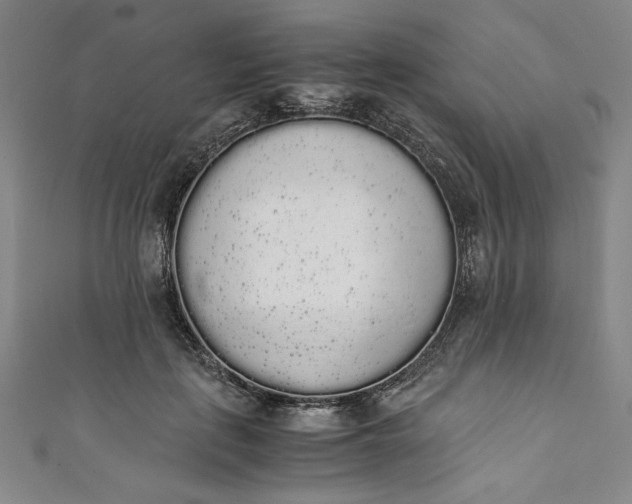 X0000111450651200907271231