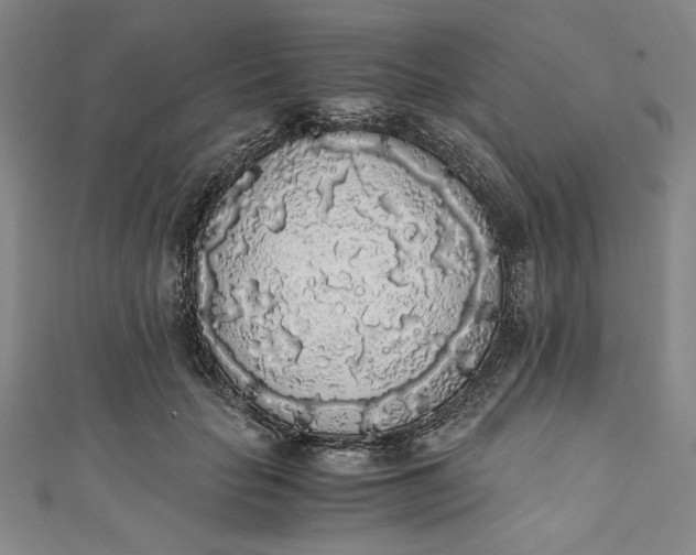 X0000111450653200907271231
