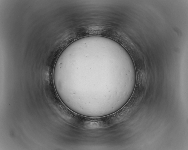 X0000111450655200907271231