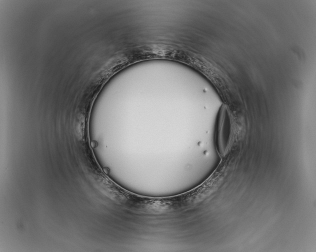 X0000111450656200907271231