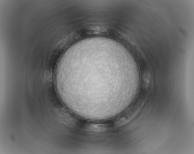 X0000111450657200907271231