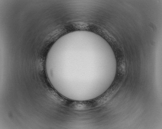 X0000111450658200907271231