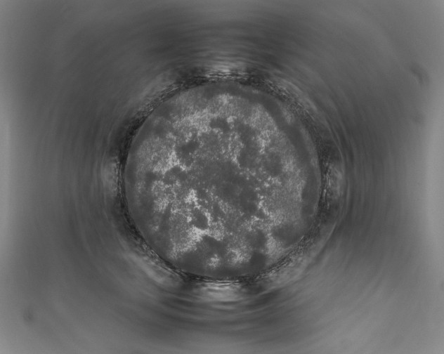 X0000111450659200907271231