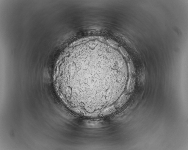 X0000111450661200907271231