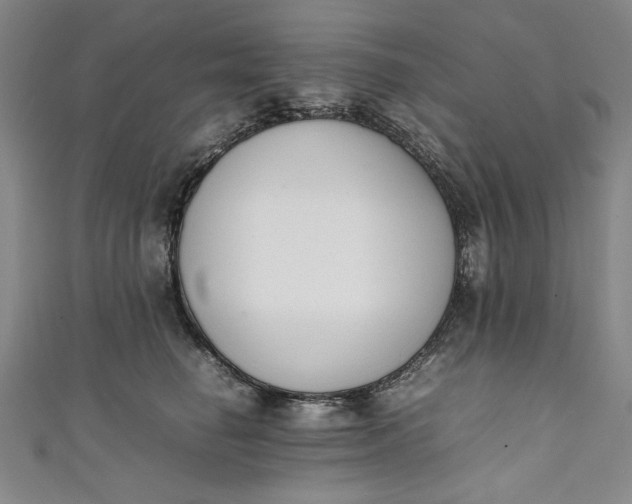 X0000111450662200907271231