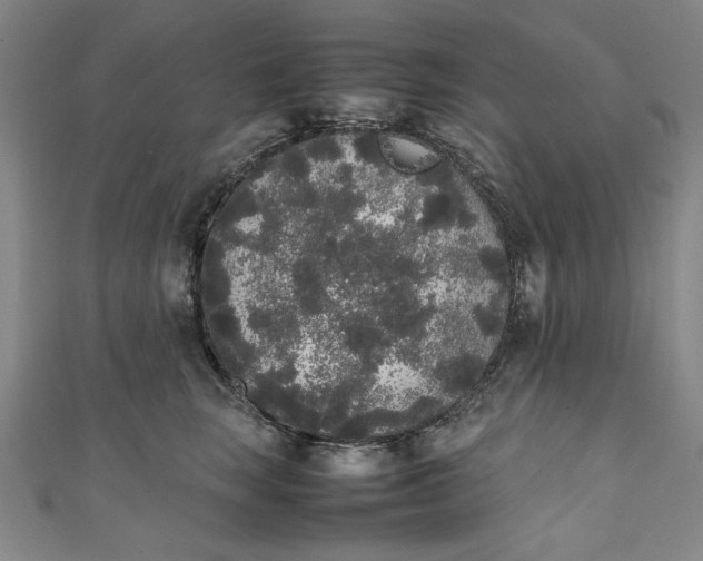 X0000111450663200907271231