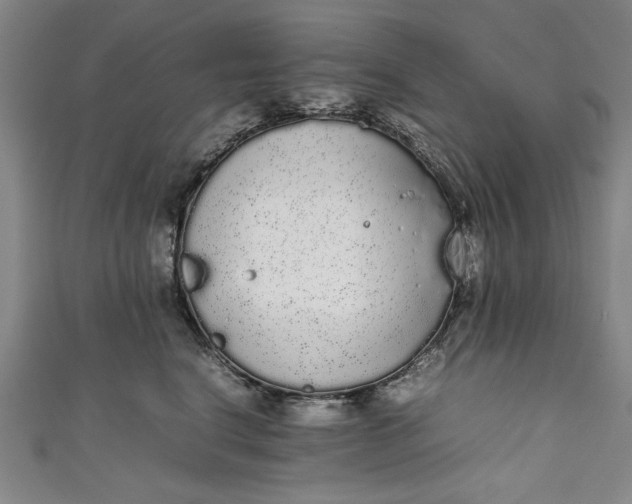 X0000111450664200907271231