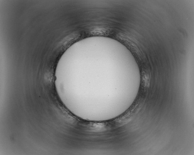 X0000111450665200907271231